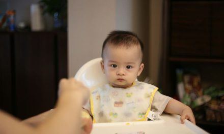 Menu MPASI Bukan Makanan Khusus Bayi