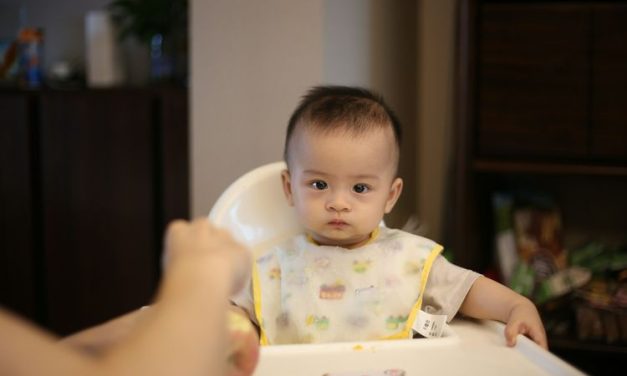 Menu MPASI Bukan Makanan Khusus Bayi