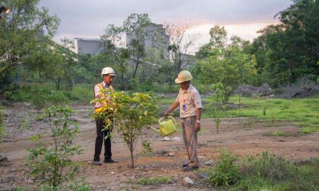 Isu Lingkungan Dan Tanggung Jawab Sosial Perusahaan Tambang