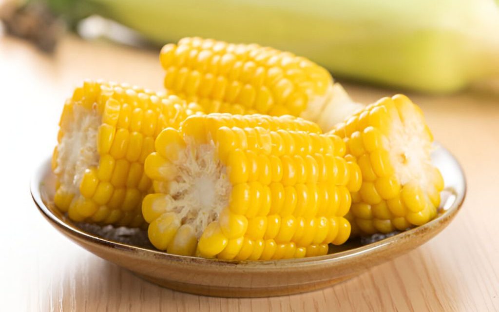 Jagung Sumber Pangan Penting Dan Kaya Nutrisi