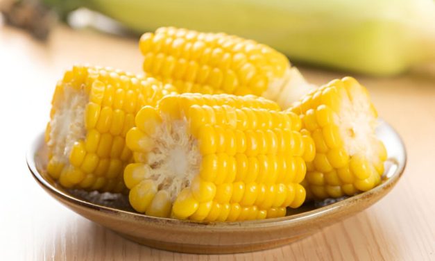 Jagung Sumber Pangan Penting Dan Kaya Nutrisi