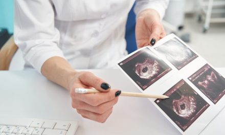 Perkembangan Janin Dari Trimester Ke Trimester