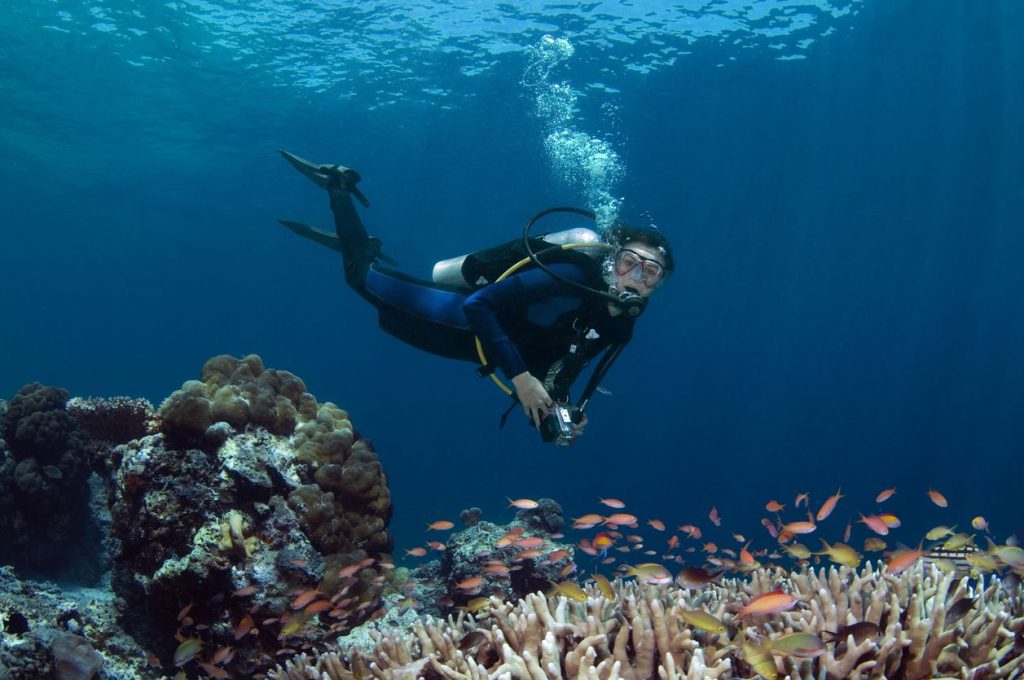 Tips Aman Dan Efektif Bagi Pemula Saat Diving