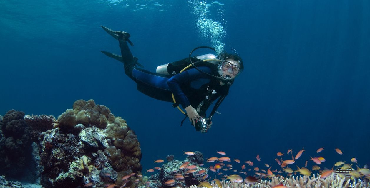 Tips Aman Dan Efektif Bagi Pemula Saat Diving