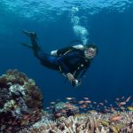 Tips Aman Dan Efektif Bagi Pemula Saat Diving