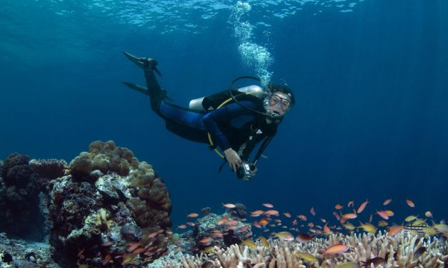Tips Aman Dan Efektif Bagi Pemula Saat Diving