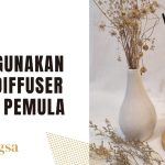 Cara Menggunakan Diffuser Untuk Kesehatan Dan Relaksasi