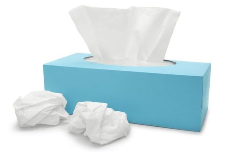 Dampak Penggunaan Tissue Berlebihan Terhadap Lingkungan