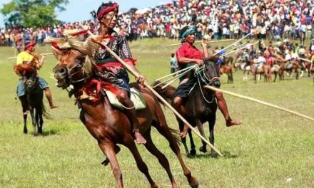 Mengenal Tradisi Pasola Sebagai Warisan Budaya Nusantara