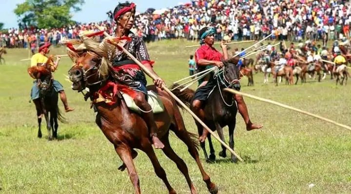 Mengenal Tradisi Pasola Sebagai Warisan Budaya Nusantara