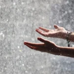 Keajaiban Hujan: Proses Alam Yang Memberi Kehidupan