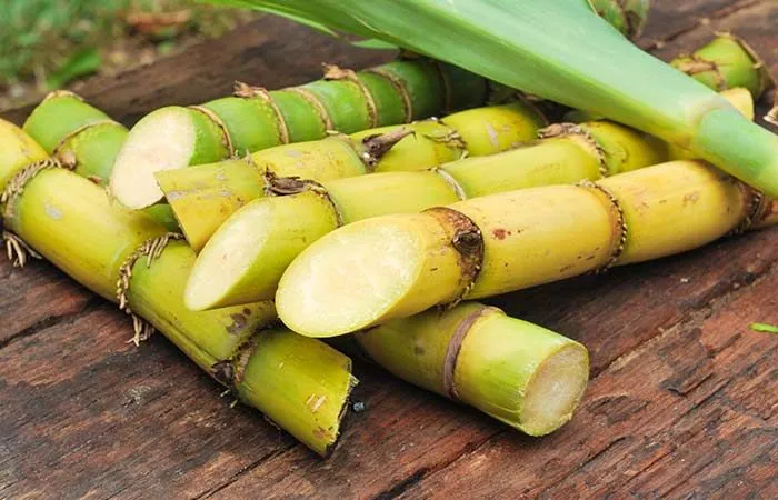 Manfaat Tebu, Kandungan Gizi, Dan Proses Pengolahannya