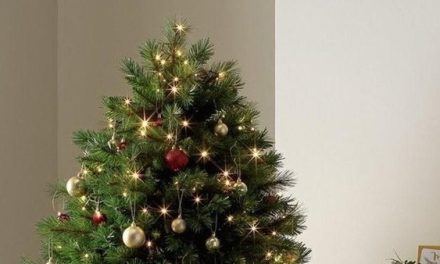 Pohon Natal Dan Maknanya: Dari Tradisi Hingga Simbol Kehidupan