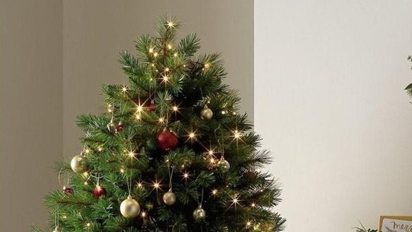 Pohon Natal Dan Maknanya: Dari Tradisi Hingga Simbol Kehidupan