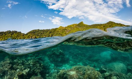 Konservasi Laut: Upaya Menjaga Kekayaan Ekosistem Perairan
