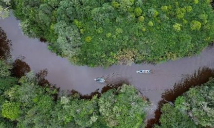 Sungai Indonesia: Peran Aliran Air Bagi Masyarakat dan Ekosistem