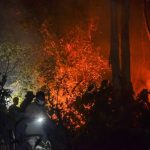Penegakan Hukum Lingkungan: Tantangan Pembakaran Hutan