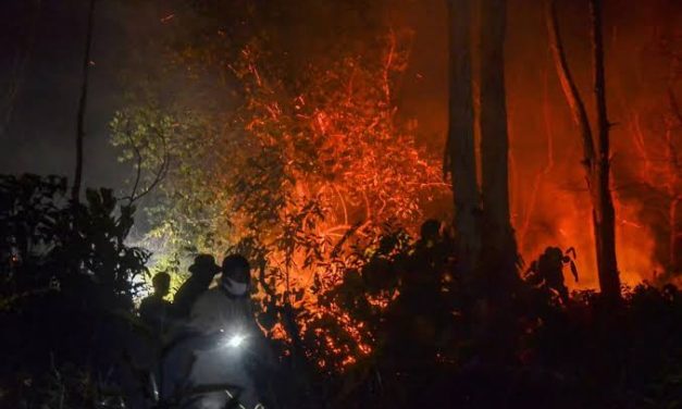 Penegakan Hukum Lingkungan: Tantangan Pembakaran Hutan